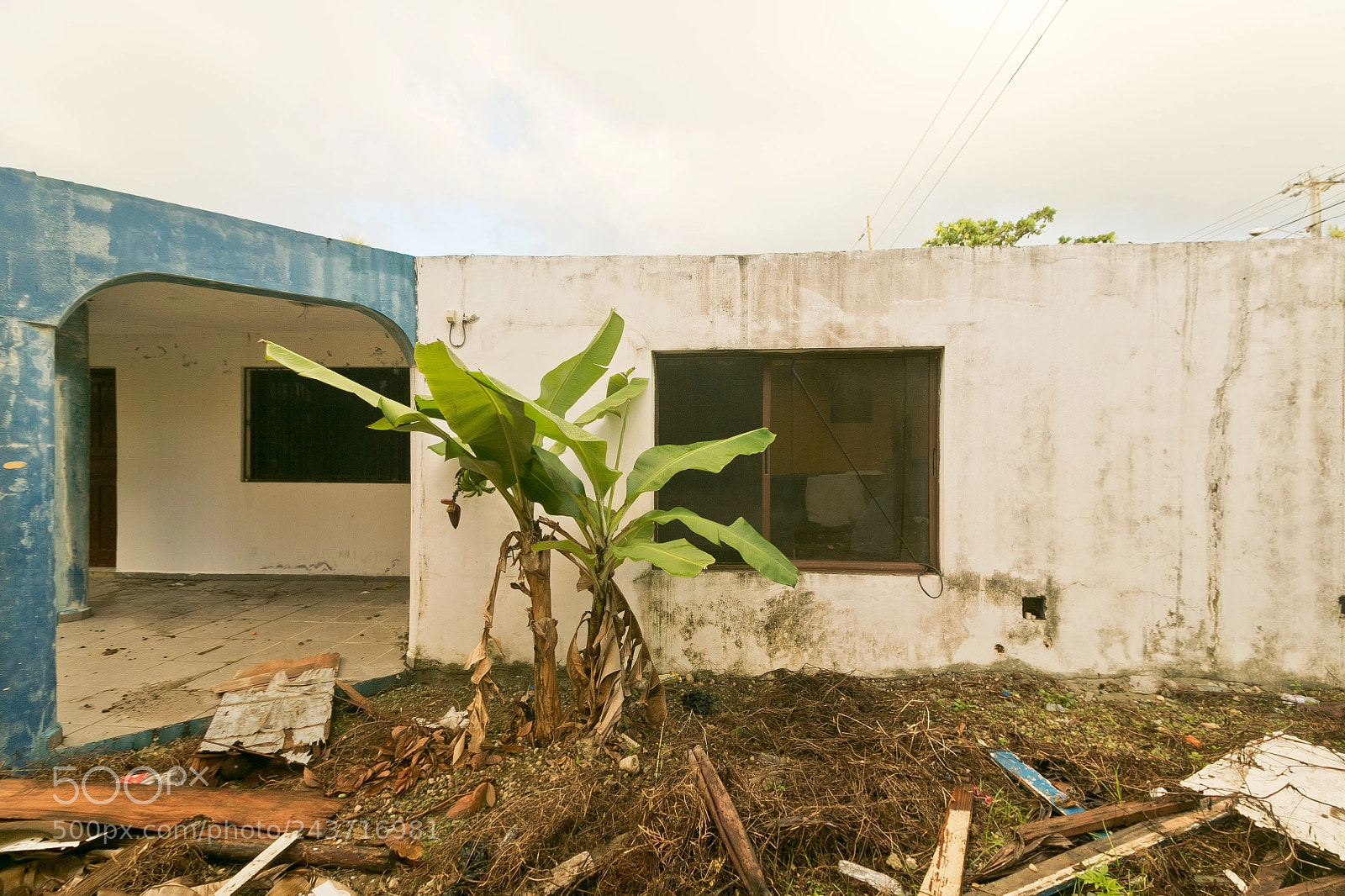 Canon EOS 7D Mark II sample photo. Dr window photography