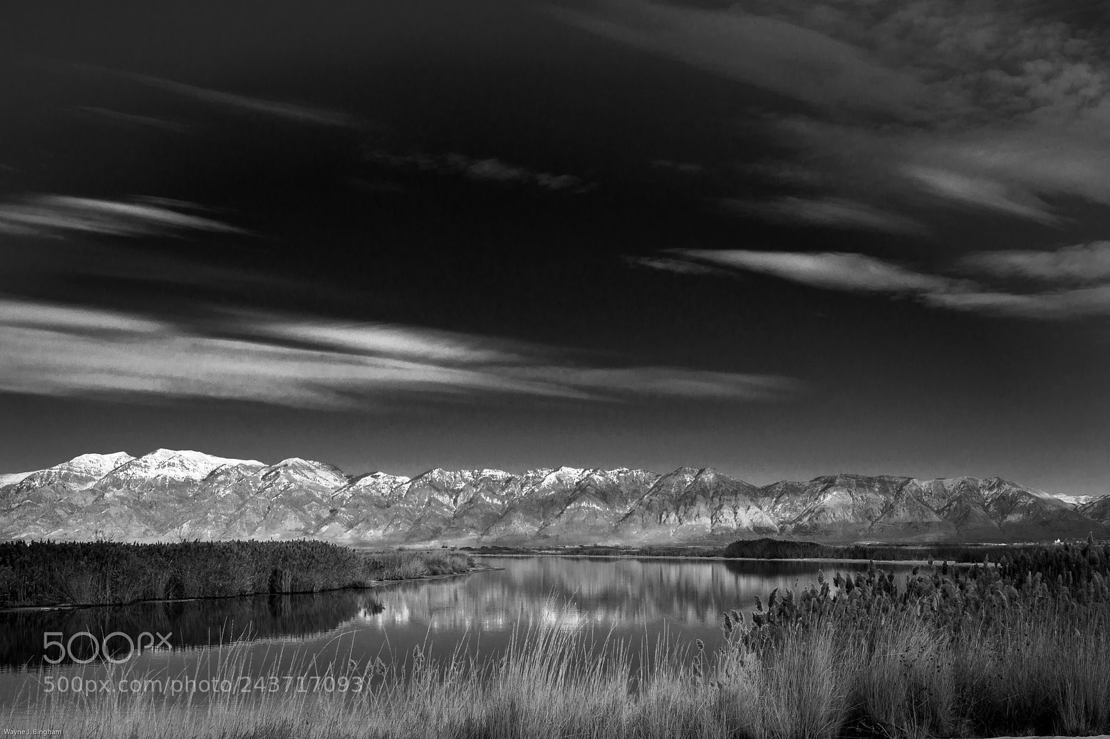 Olympus OM-D E-M1 Mark II sample photo. Bird refuge photography