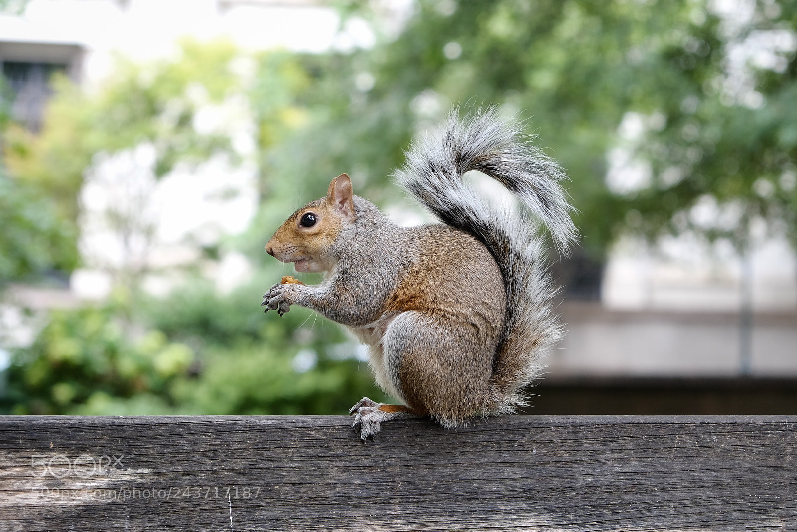 Fujifilm X-M1 sample photo. Little ones photography