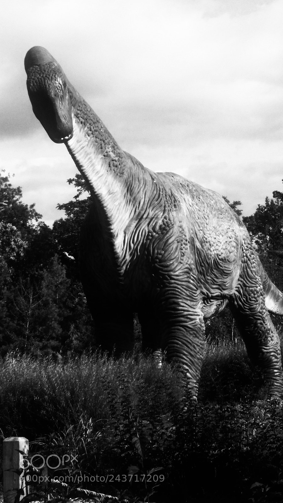 Samsung Galaxy S5 sample photo. Dinosaur photography
