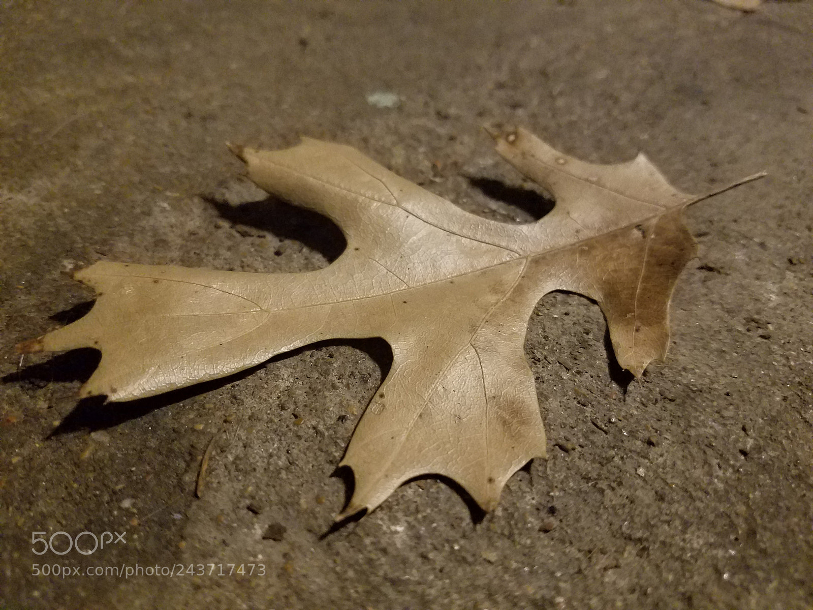 Samsung Galaxy S7 sample photo. Lying around photography