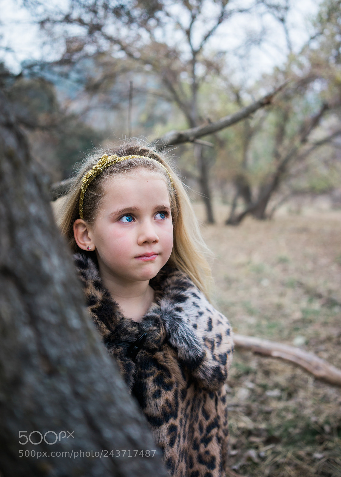 Sony a7R sample photo. Untitled photography