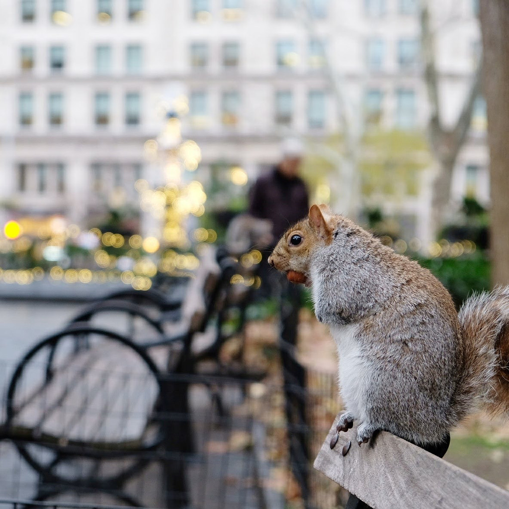 My lunch companion by Gagan Jain on 500px.com