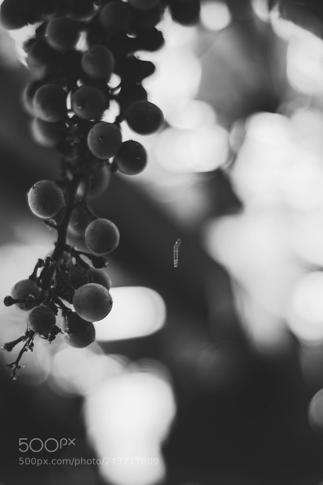 Nikon D3100 sample photo. Escalando photography