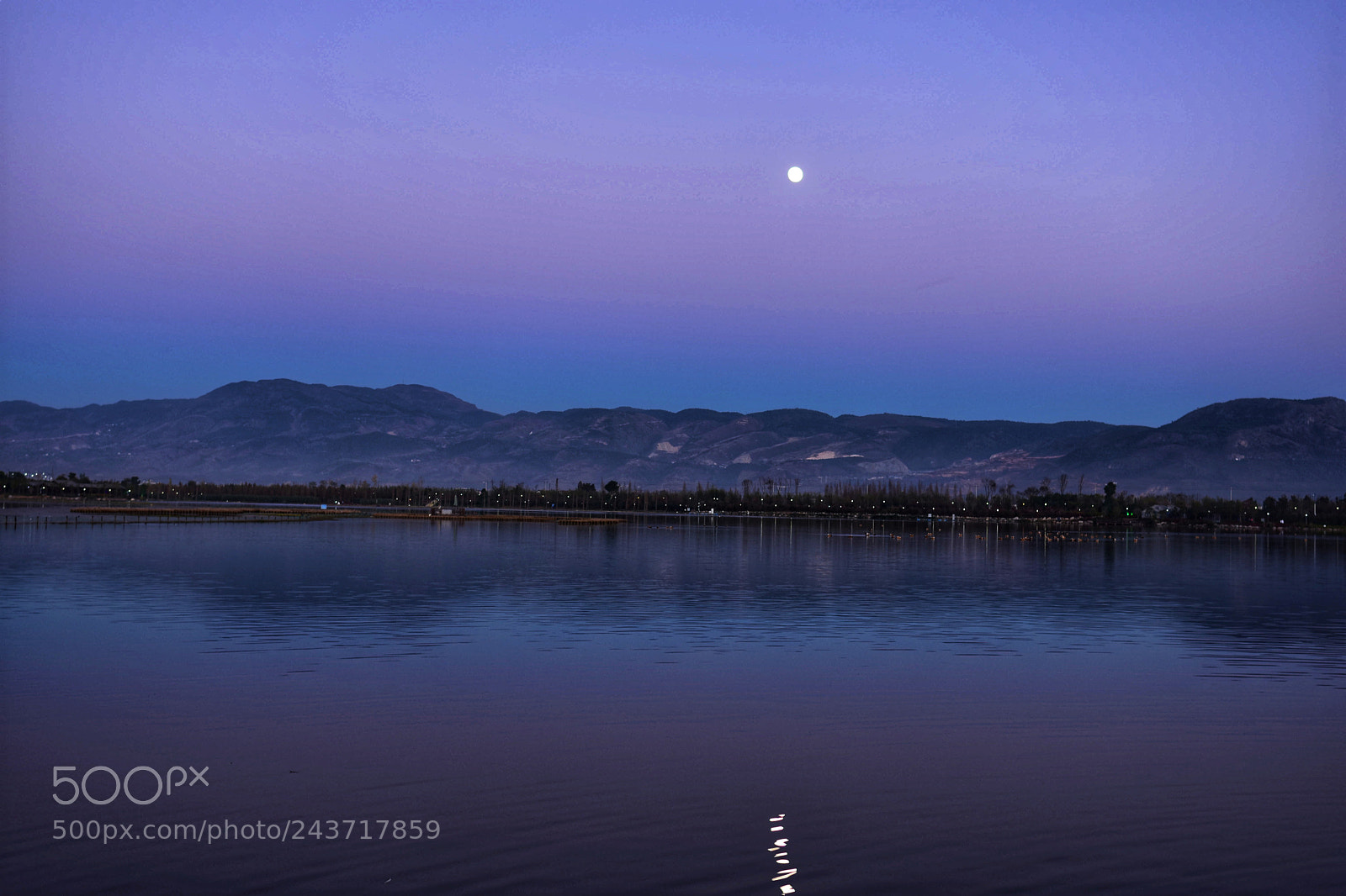 Nikon D7200 sample photo. Moonlight photography