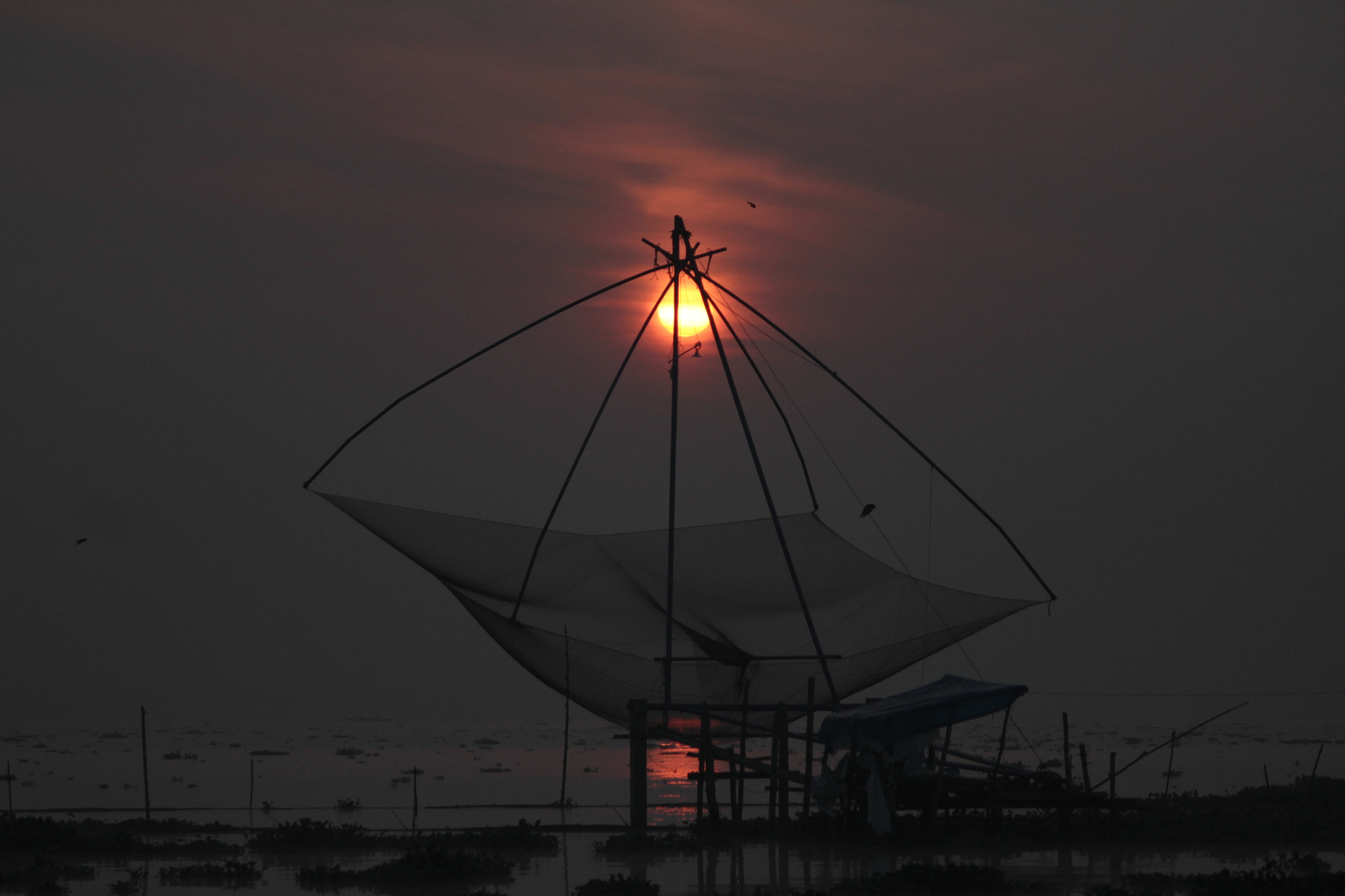 Canon EF-S 55-250mm F4-5.6 IS II sample photo. Morning vibez photography