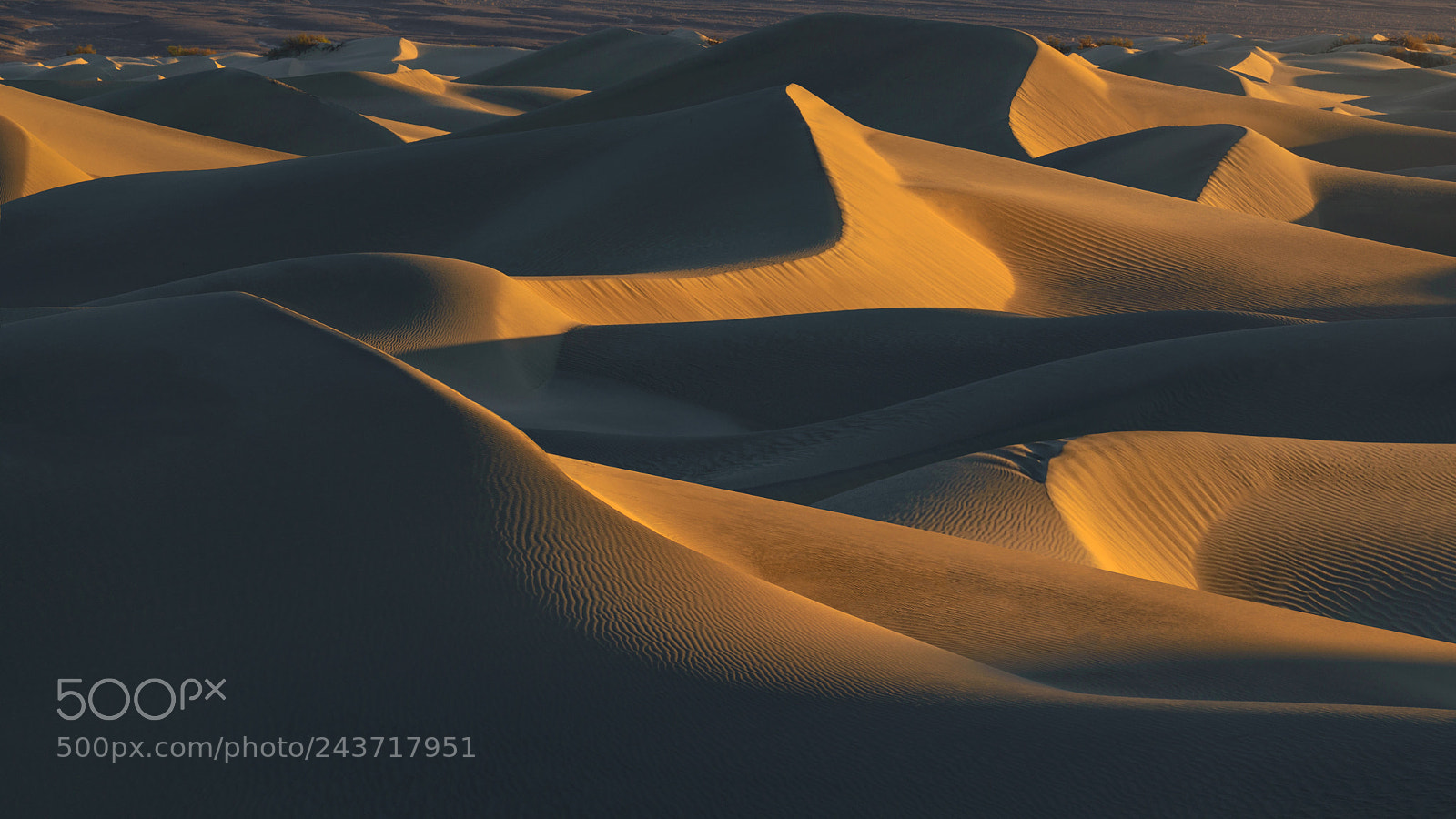 Nikon D610 sample photo. Sand dunes, death valley photography