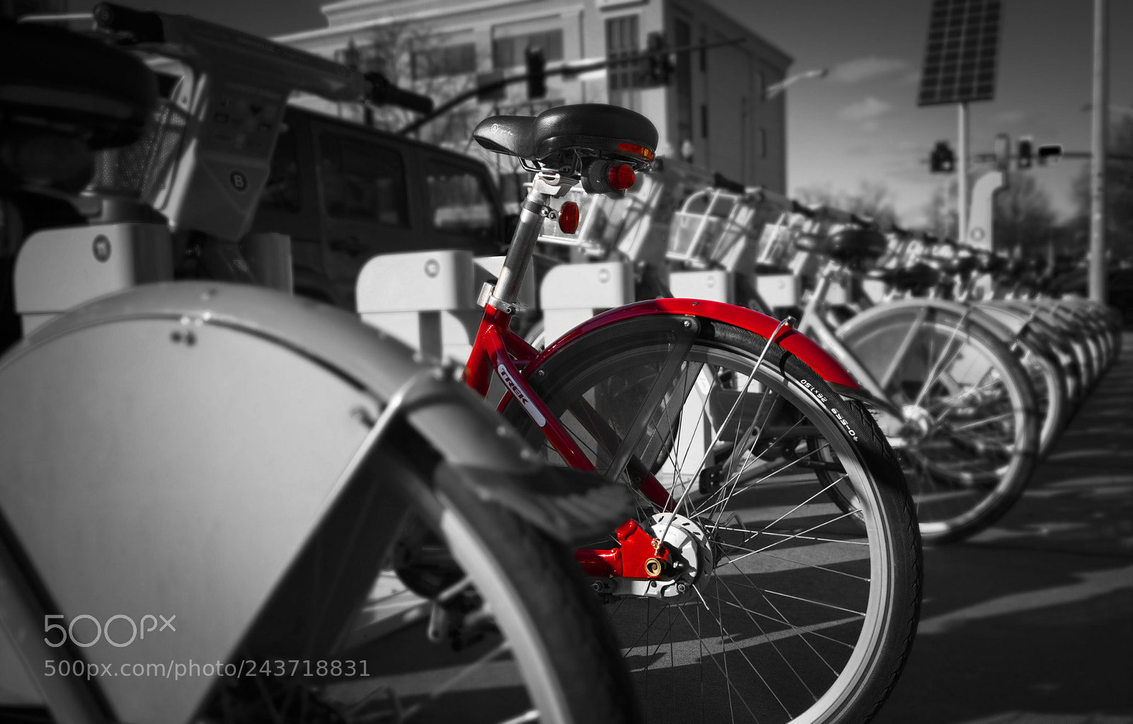 Nikon D810 sample photo. Red photography