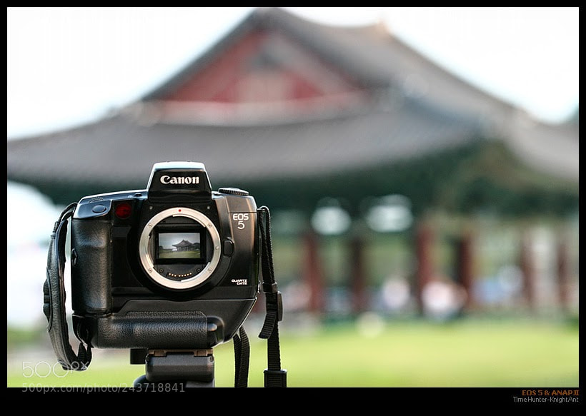 Canon EOS 10D sample photo. Picture in picture photography