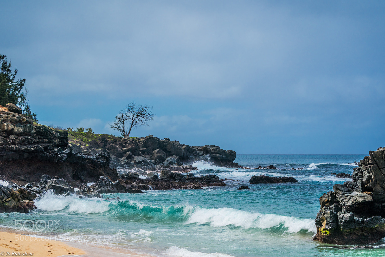 Sony a9 sample photo. Northshore. ohau. photography