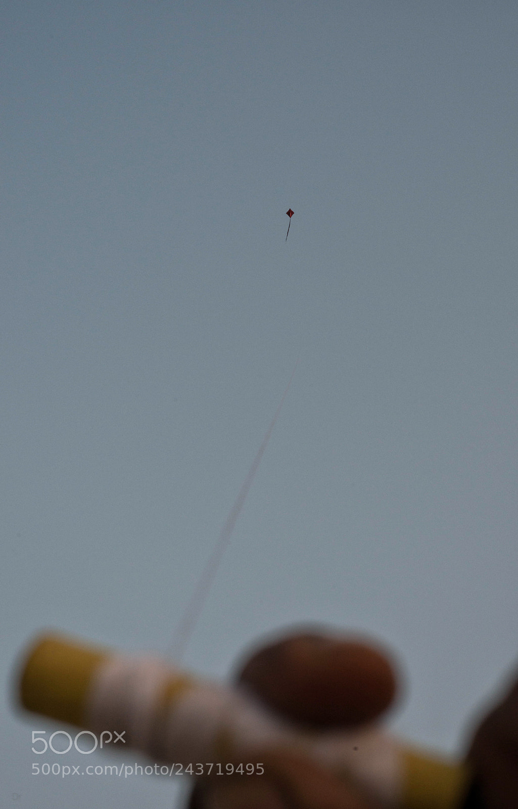 Nikon D800E sample photo. Untitled photography
