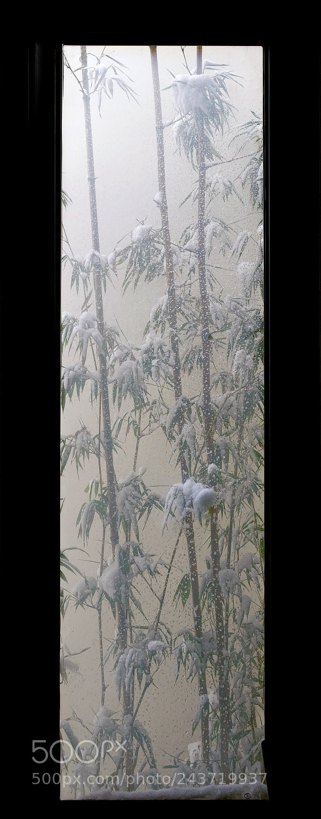 Sony Cyber-shot DSC-RX1R sample photo. Snow photography