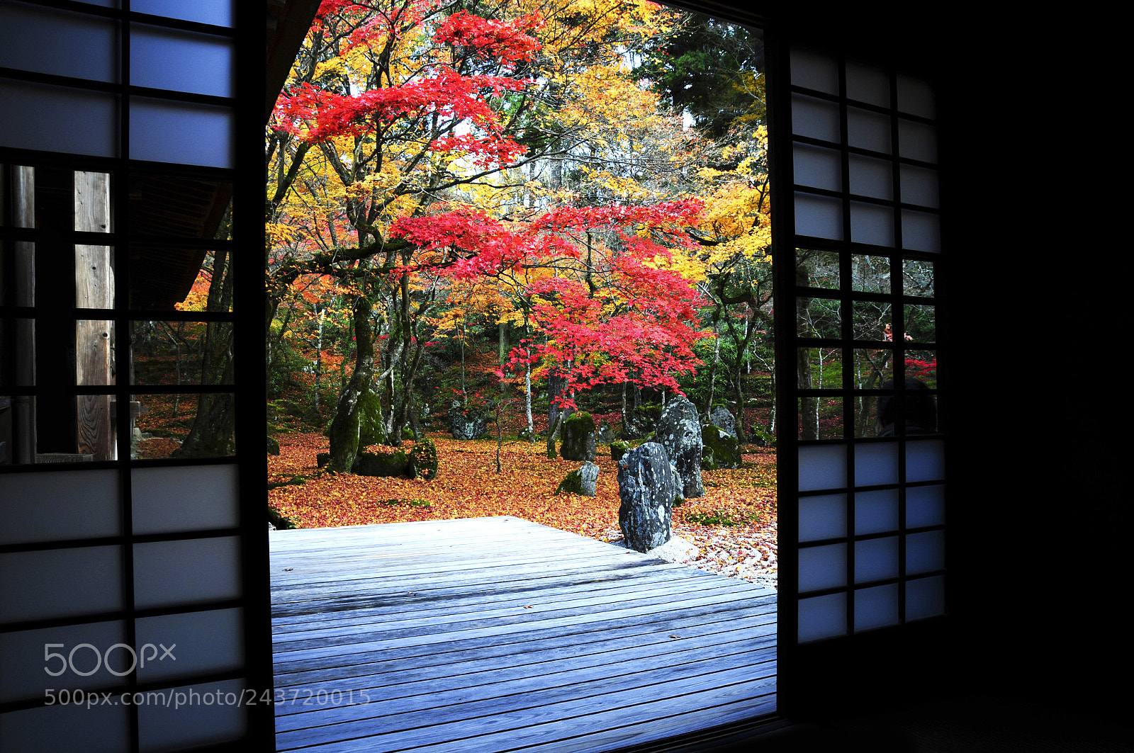 Nikon D300 sample photo. Untitled photography