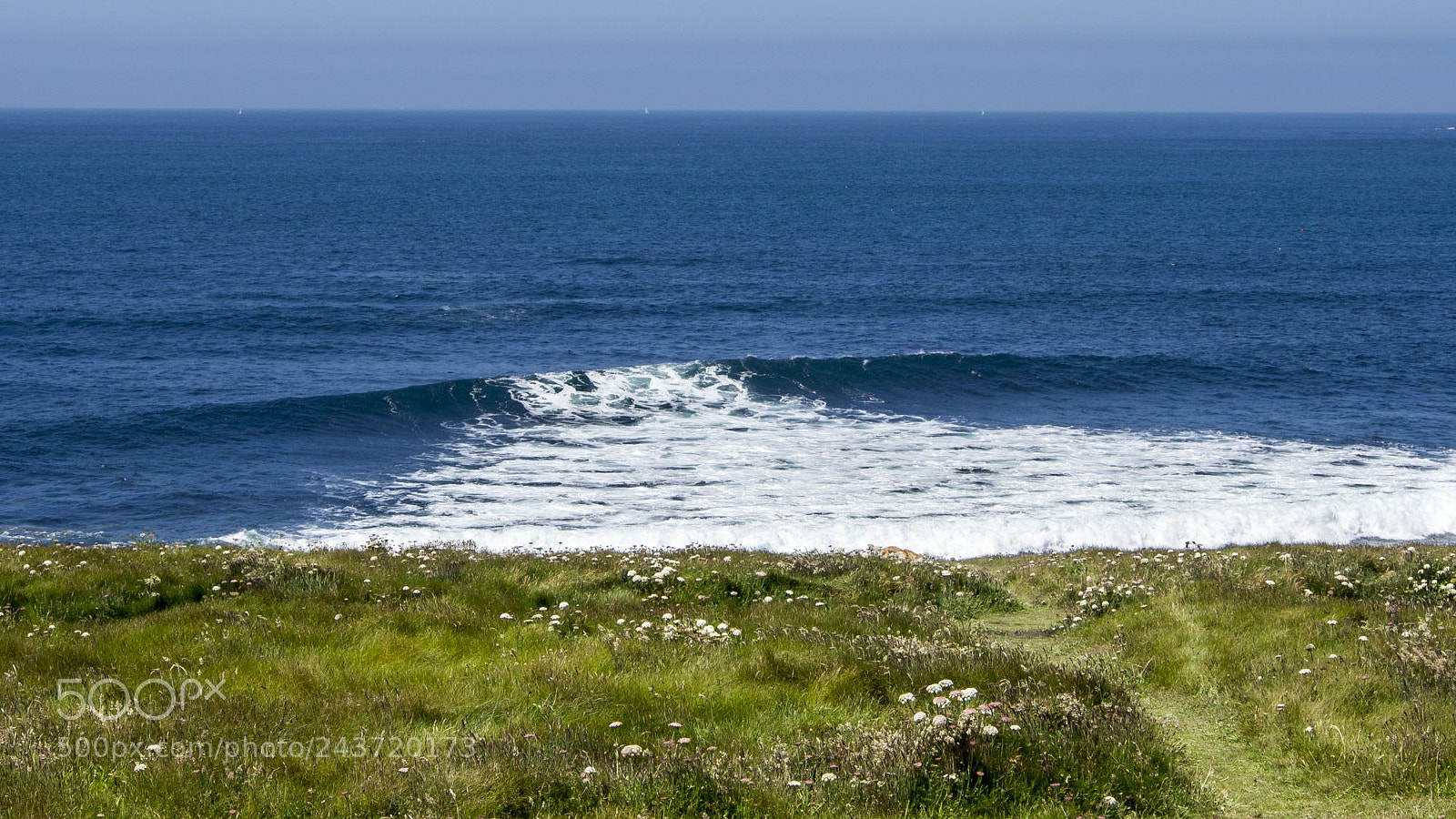 Olympus OM-D E-M5 sample photo. The wave photography