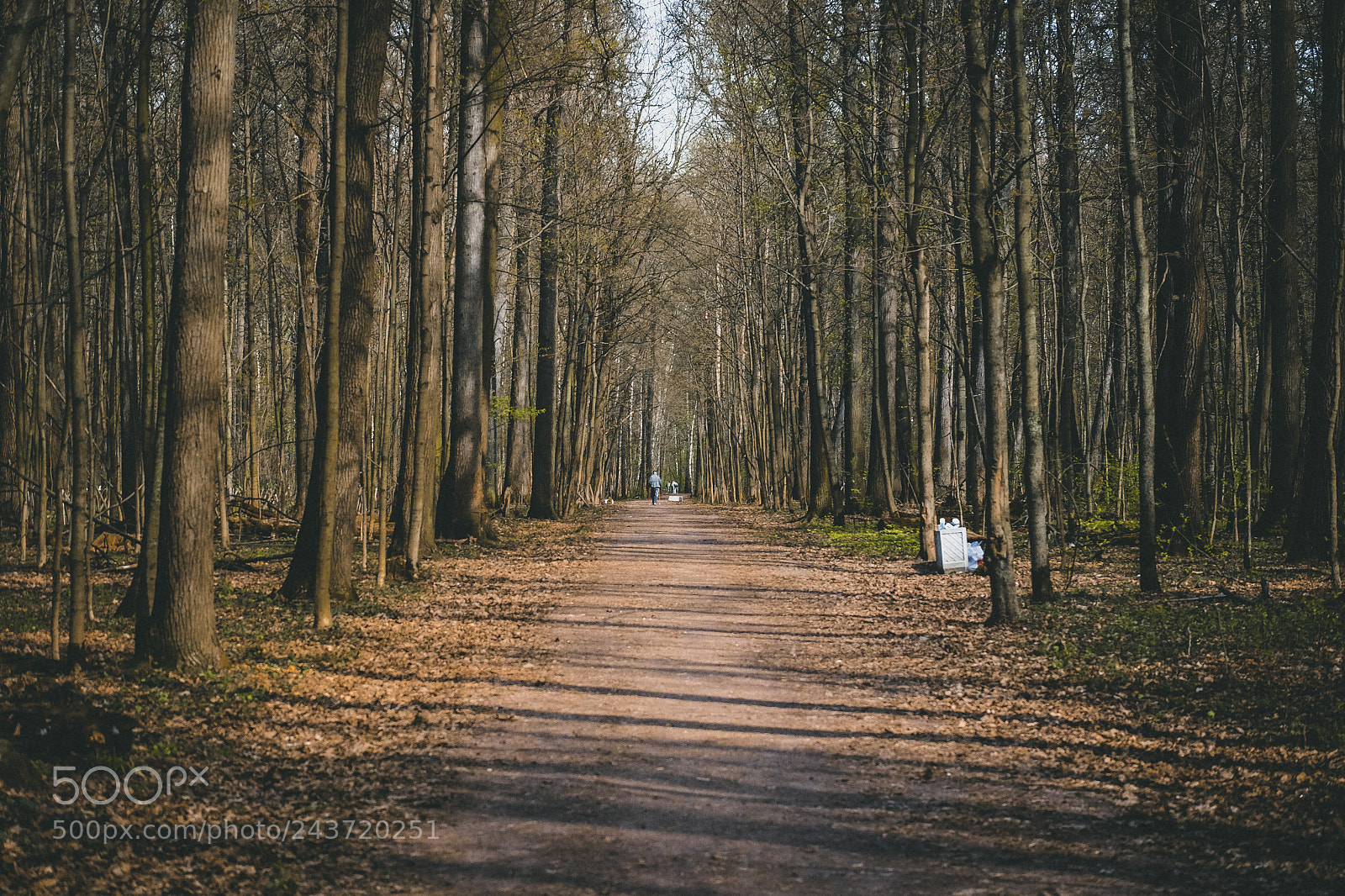 Fujifilm X-E2 sample photo. Dscf photography