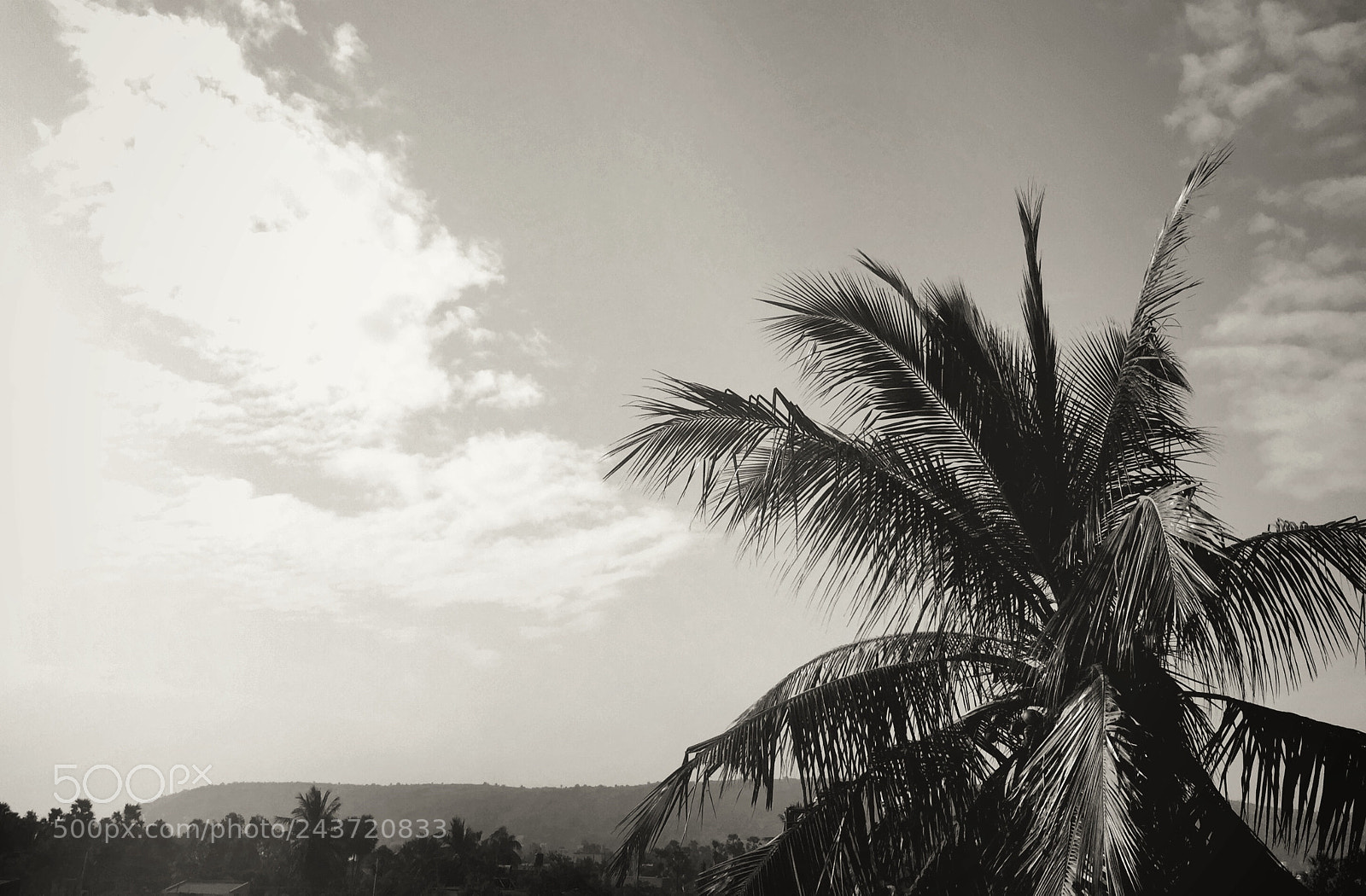 Apple iPhone 6 sample photo. Just b/w photography