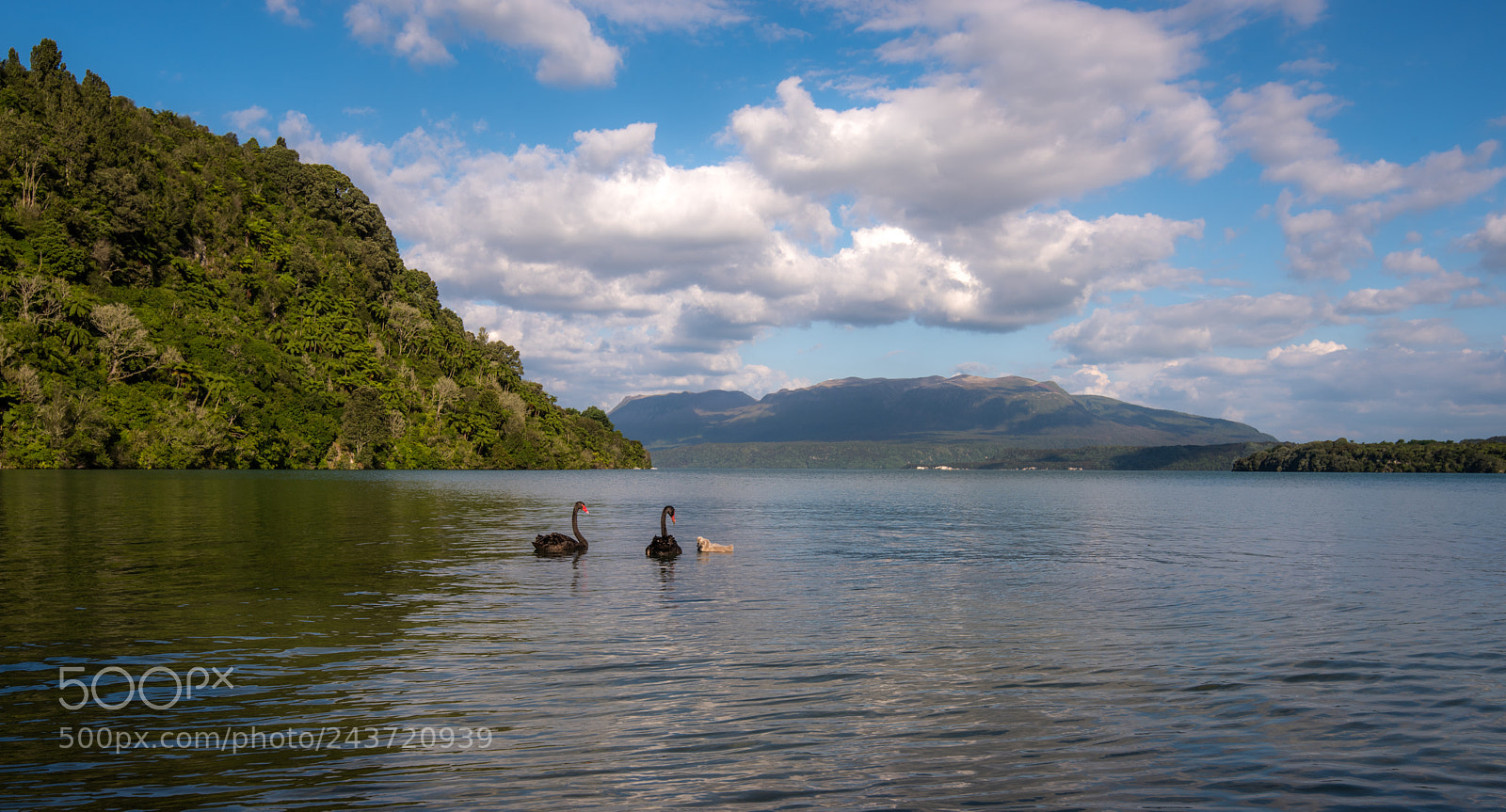 Nikon D810 sample photo. Lake tarawera photography