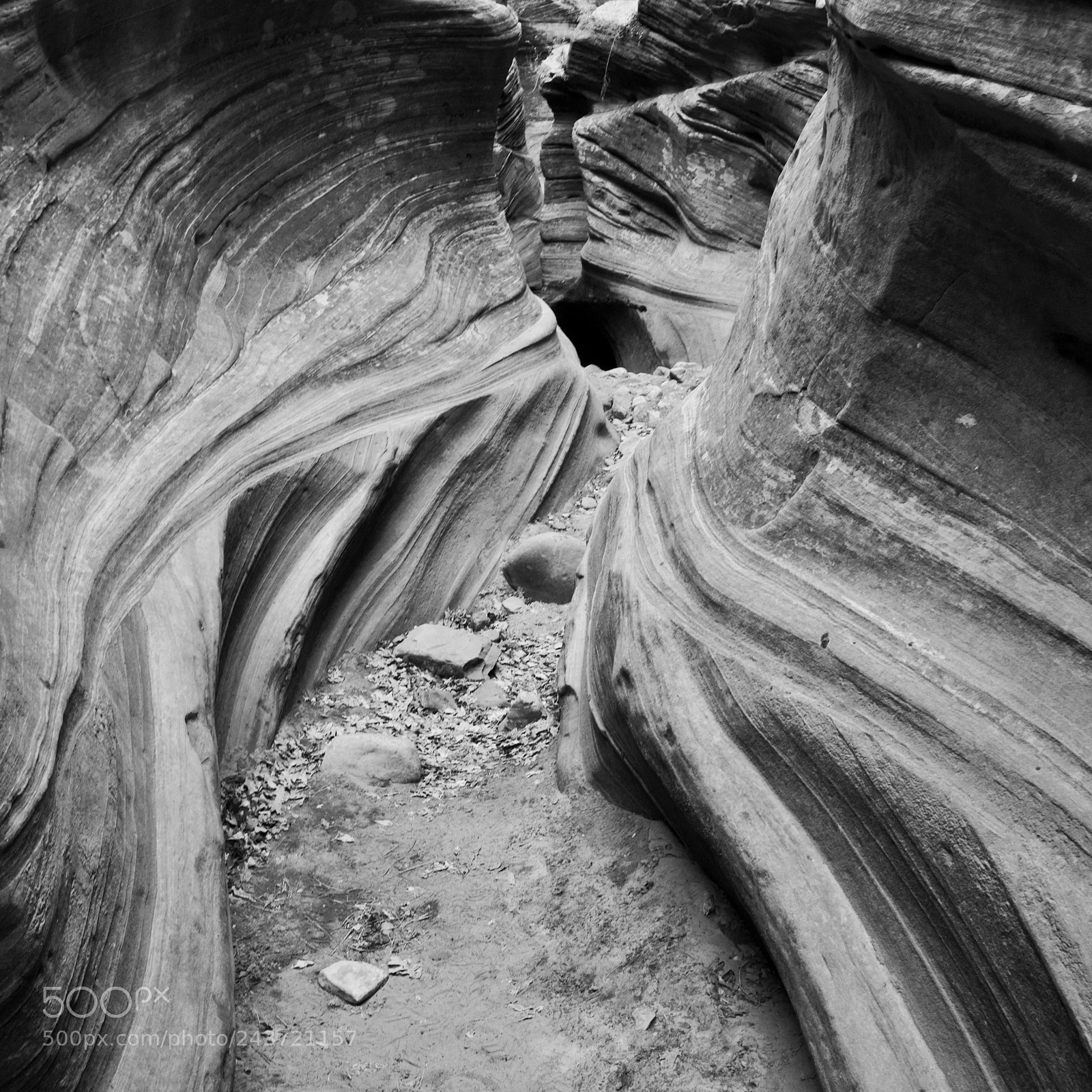 Canon EOS 100D (EOS Rebel SL1 / EOS Kiss X7) sample photo. Twisted photography