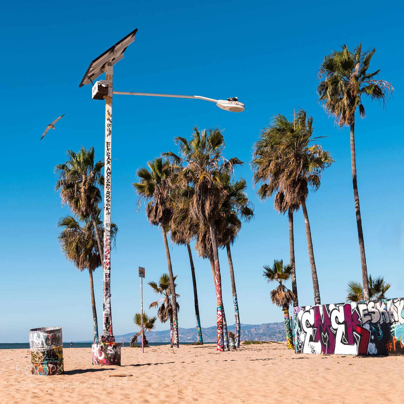 Nikon D810 sample photo. Venice beach photography