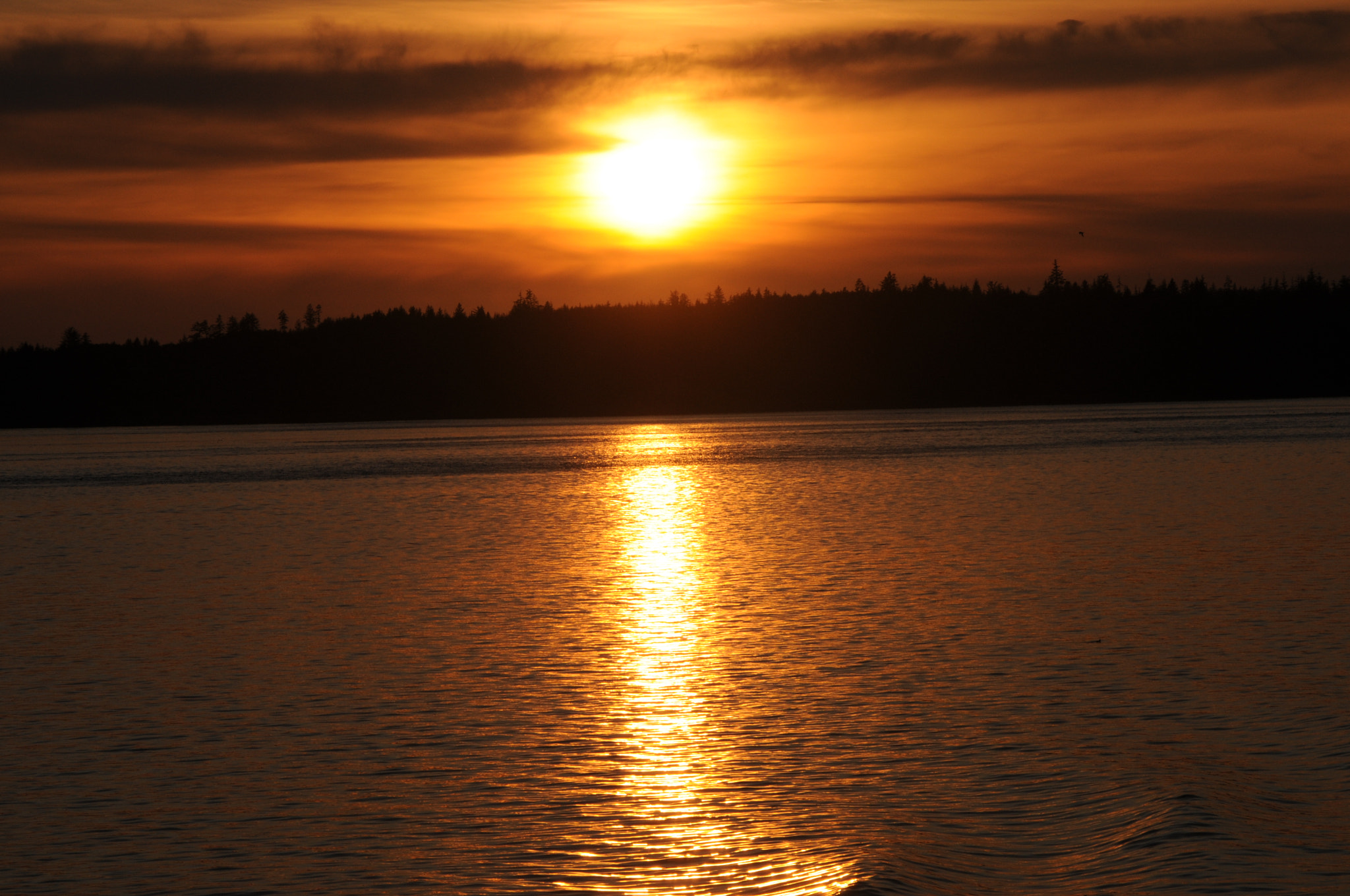 Nikon D300 sample photo. Alaska photography