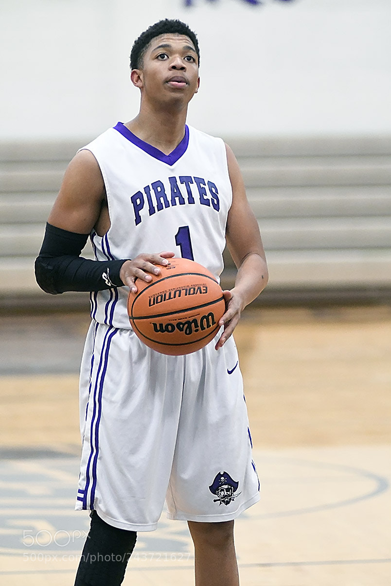 Nikon D500 sample photo. 1-20_0206.jpg photography