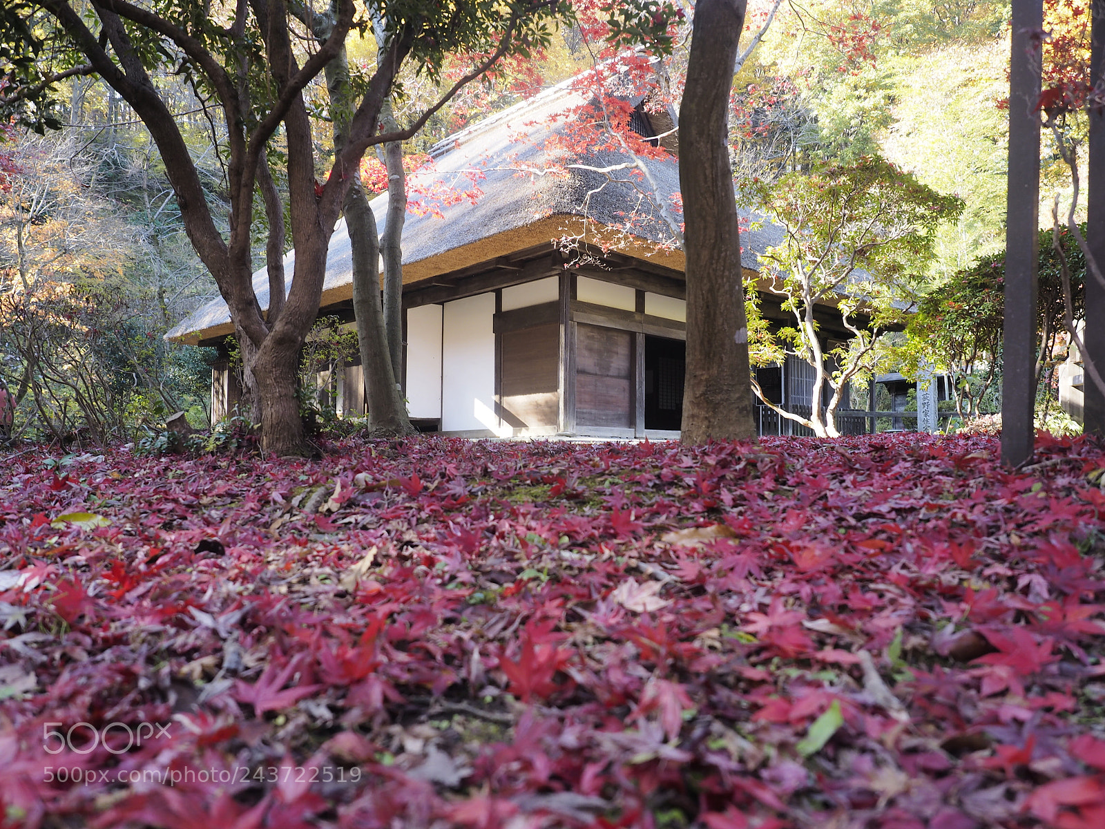 Olympus OM-D E-M1 sample photo. Old japanese house in photography