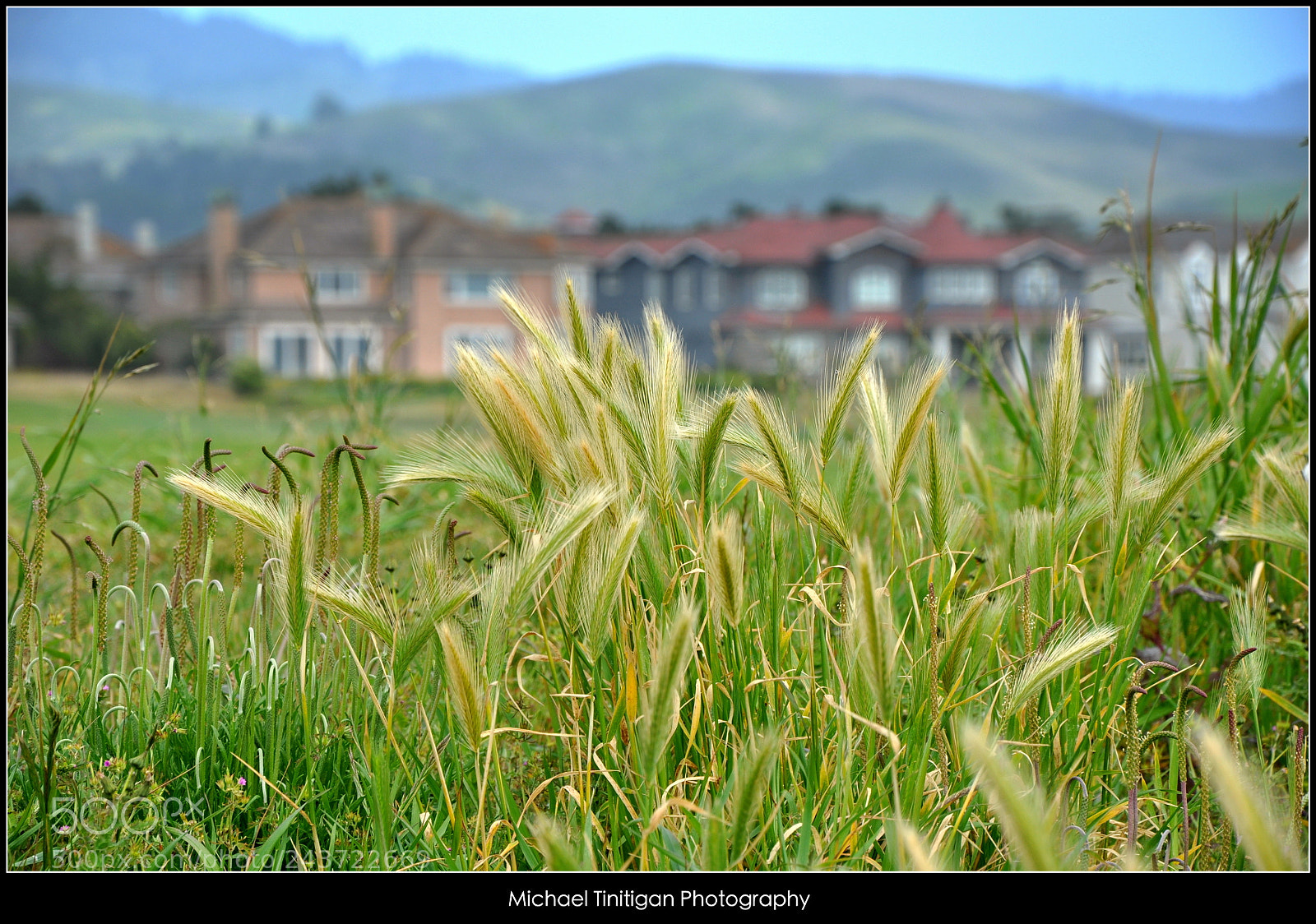 Nikon D90 sample photo. Half-moon bay, california photography