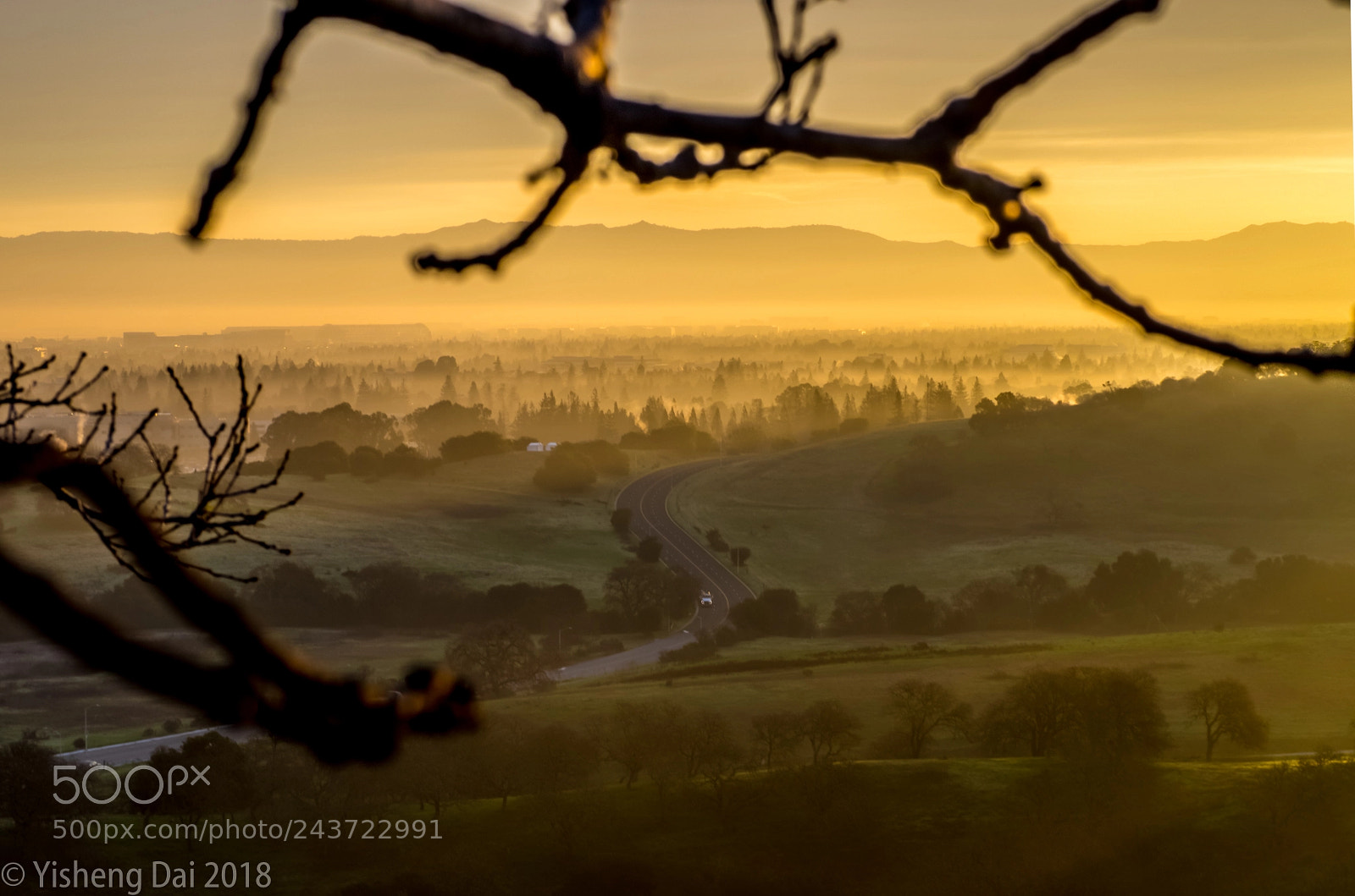 Olympus OM-D E-M1 sample photo. Light foggy morning photography