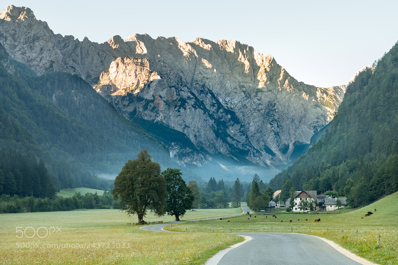 Nikon D500 sample photo. Logarska dolina - logar photography