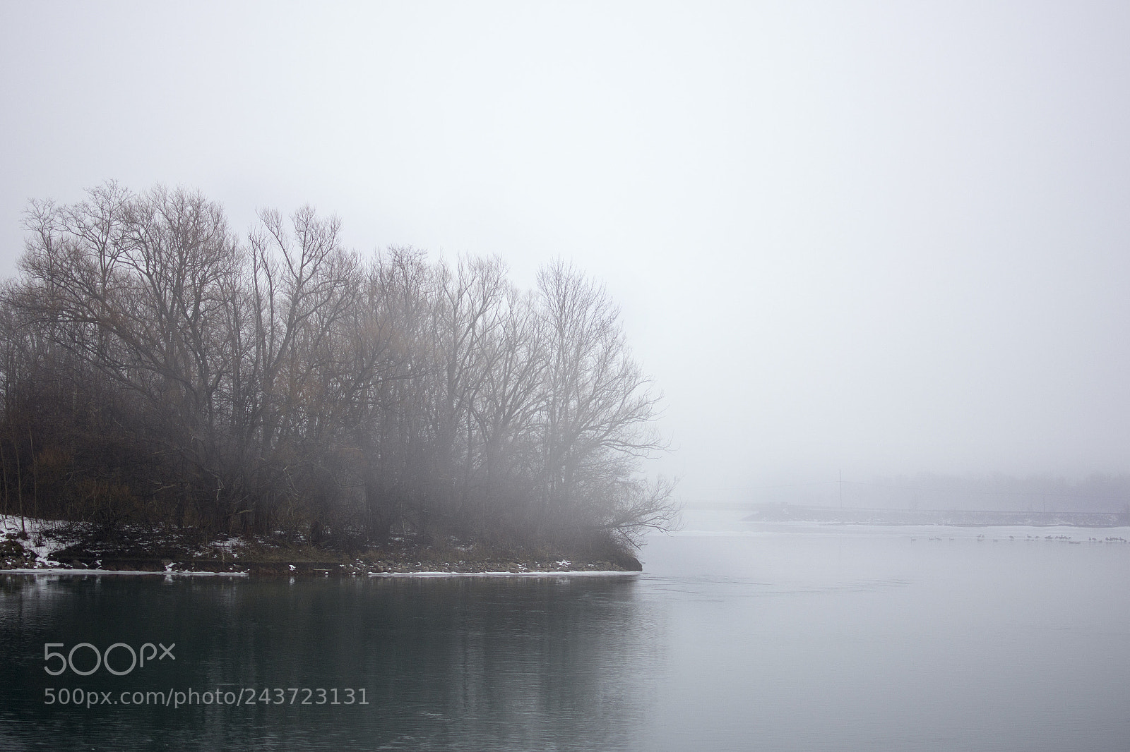 Nikon D7100 sample photo. Movement photography