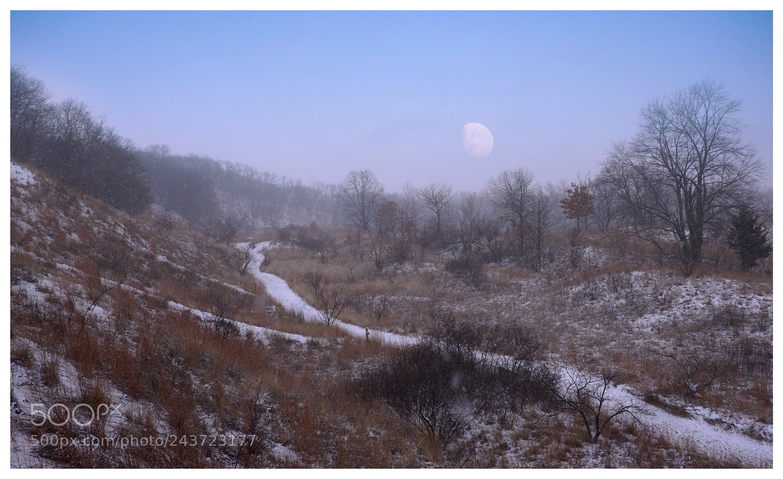 Fujifilm X-Pro2 sample photo. Trail photography