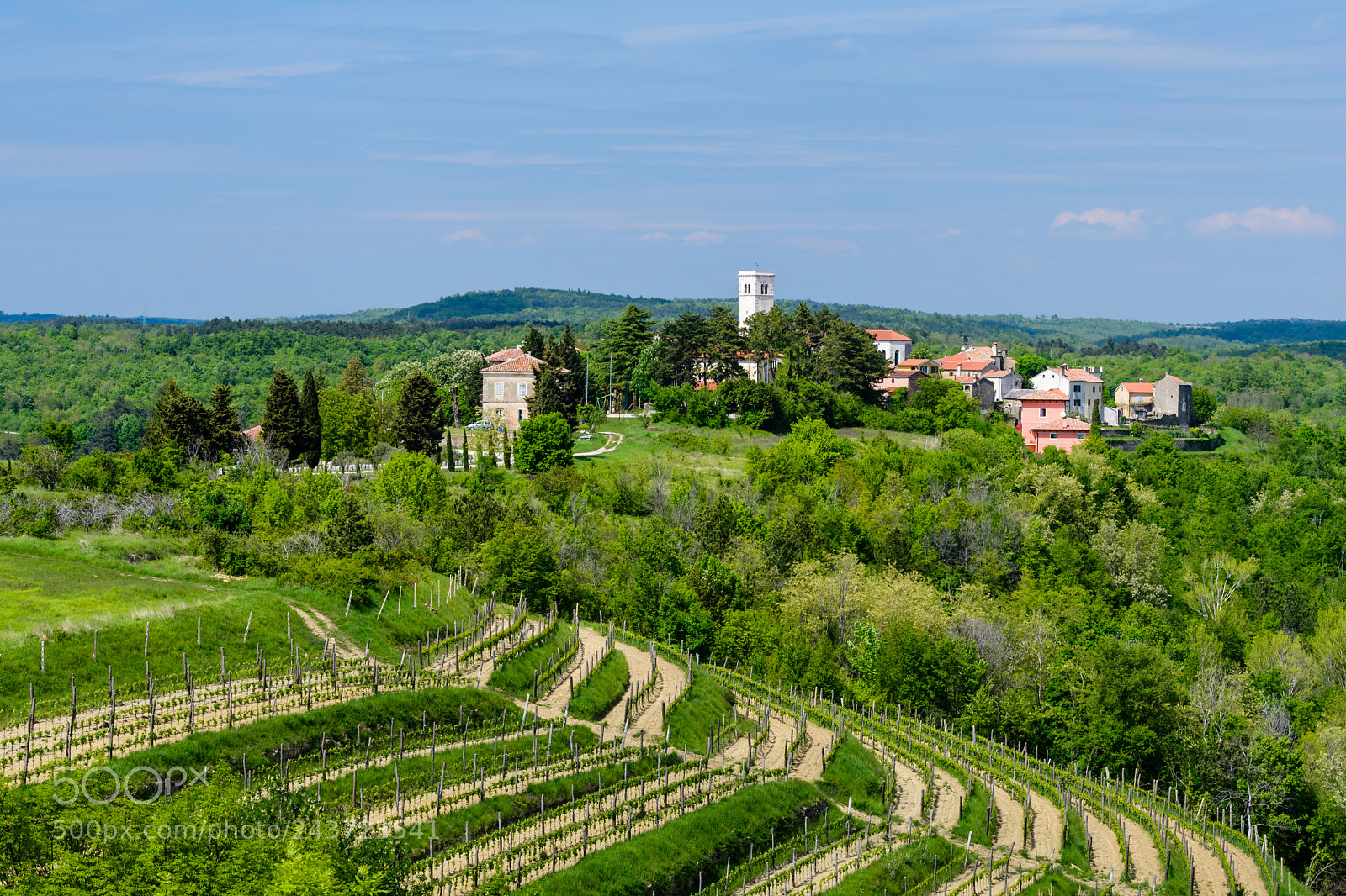Nikon D500 sample photo. Oprtalj - idyllic small photography