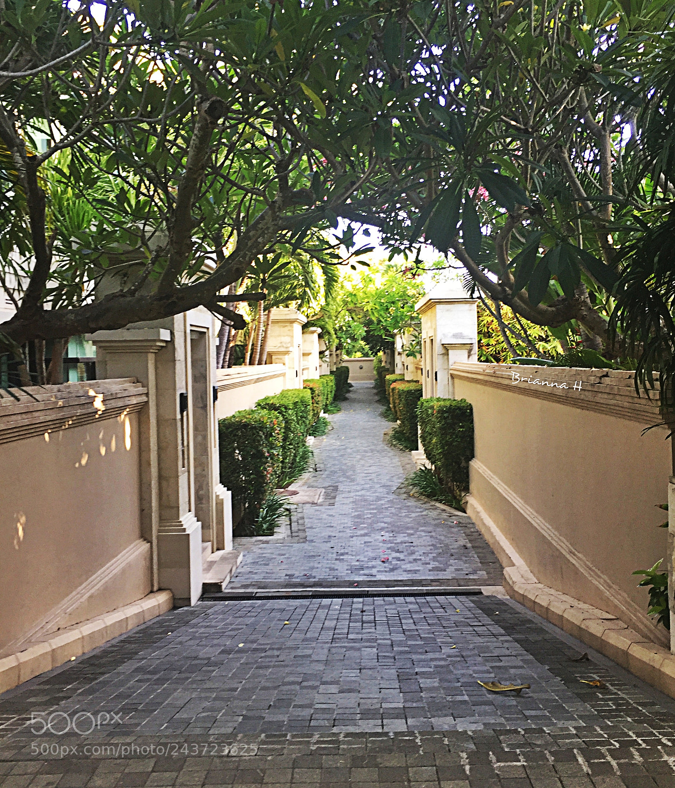 Apple iPhone 6 sample photo. Balinese path photography