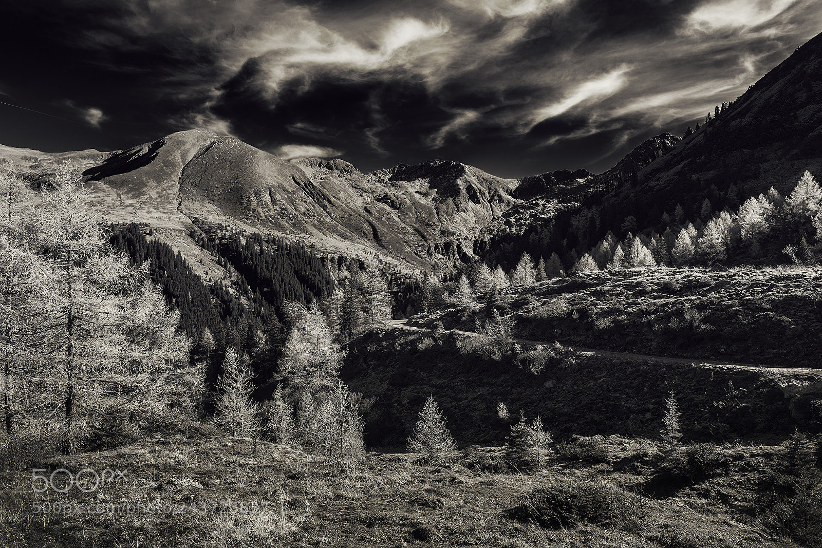 Sony a7R II sample photo. Autumn hills photography