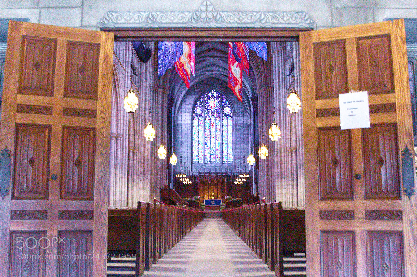 Canon EOS 60D sample photo. Princeton photography