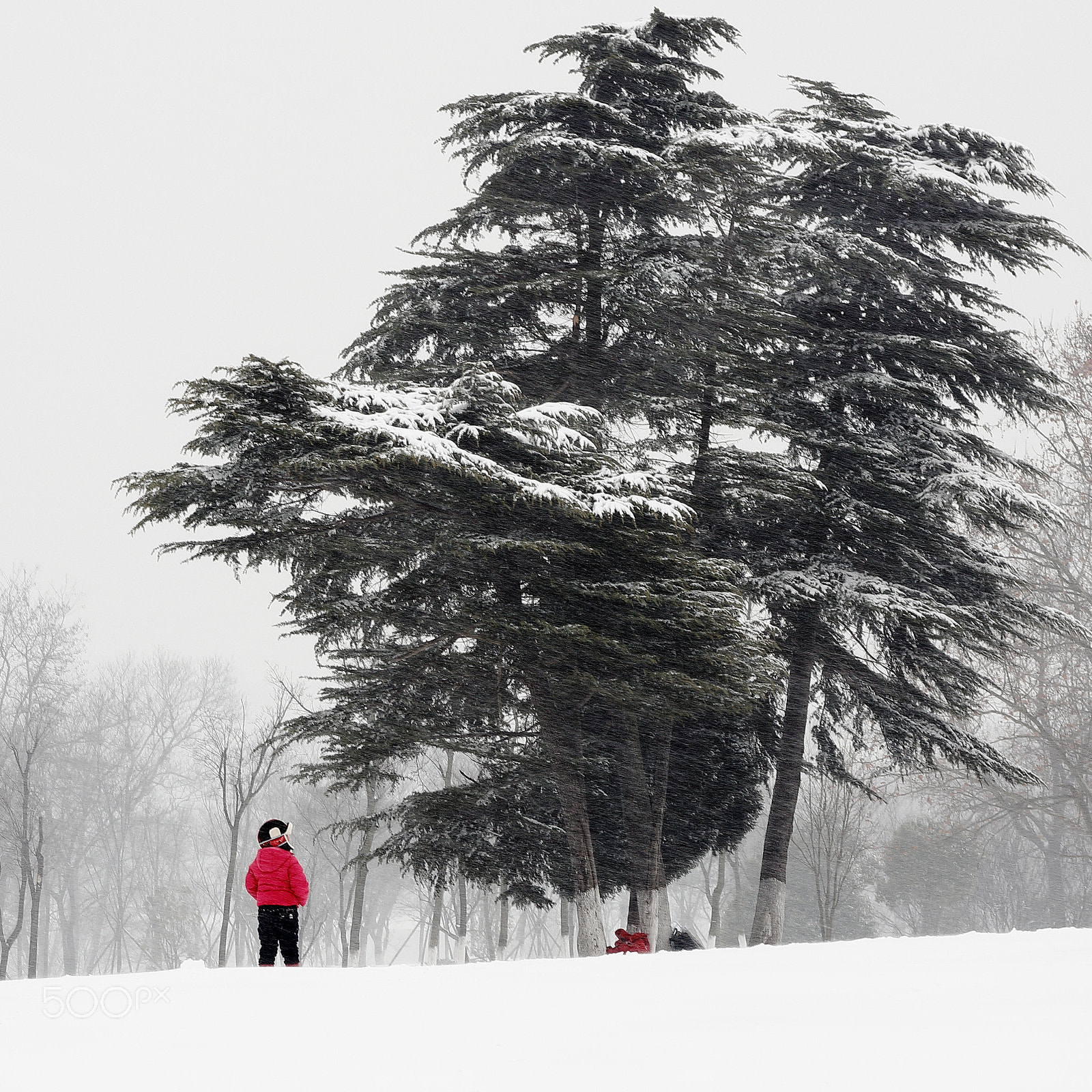 Canon EF 28-70mm f/3.5-4.5 sample photo. 雪、树、小朋友 photography