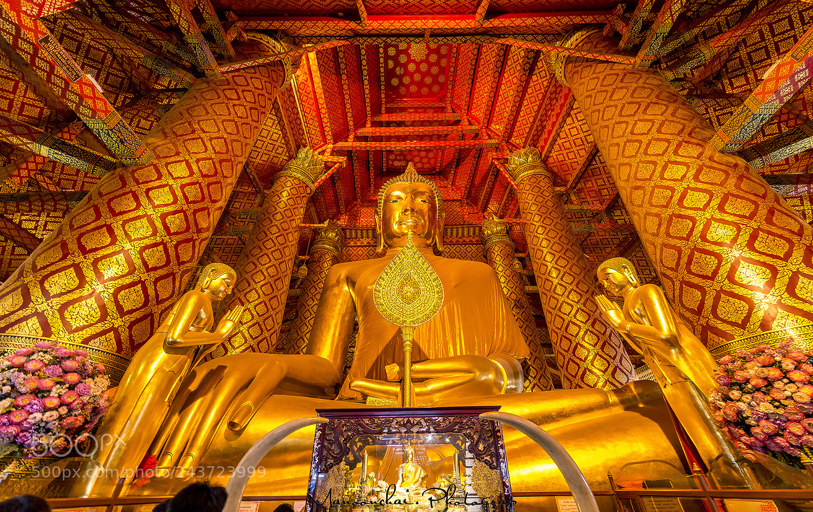 Nikon D800E sample photo. Great and beautiful golden photography