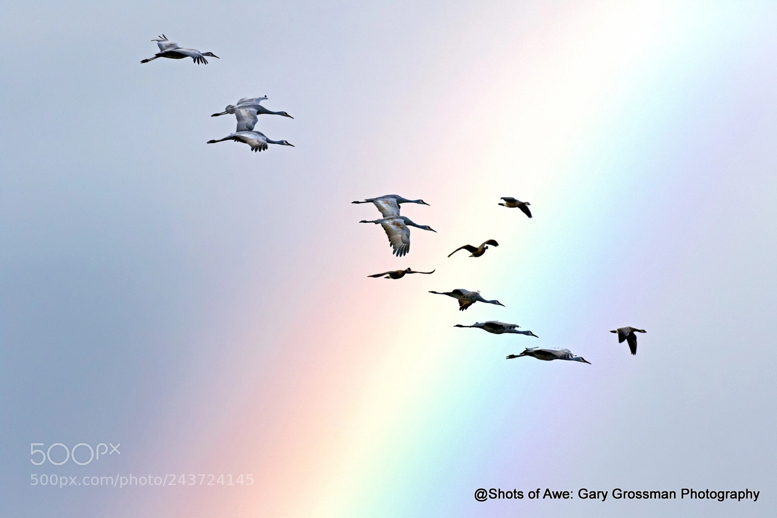 Canon EOS 7D Mark II sample photo. Rainbow photography