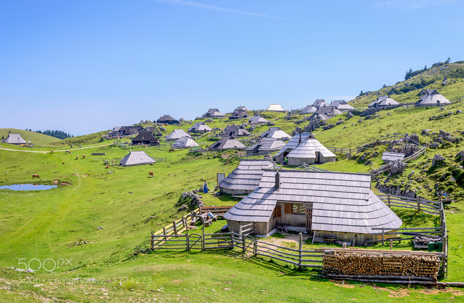 Nikon D600 sample photo. Velika planina plateau, slovenia photography