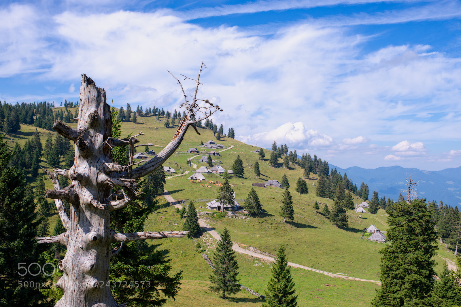 Nikon D600 sample photo. Velika planina plateau, slovenia photography