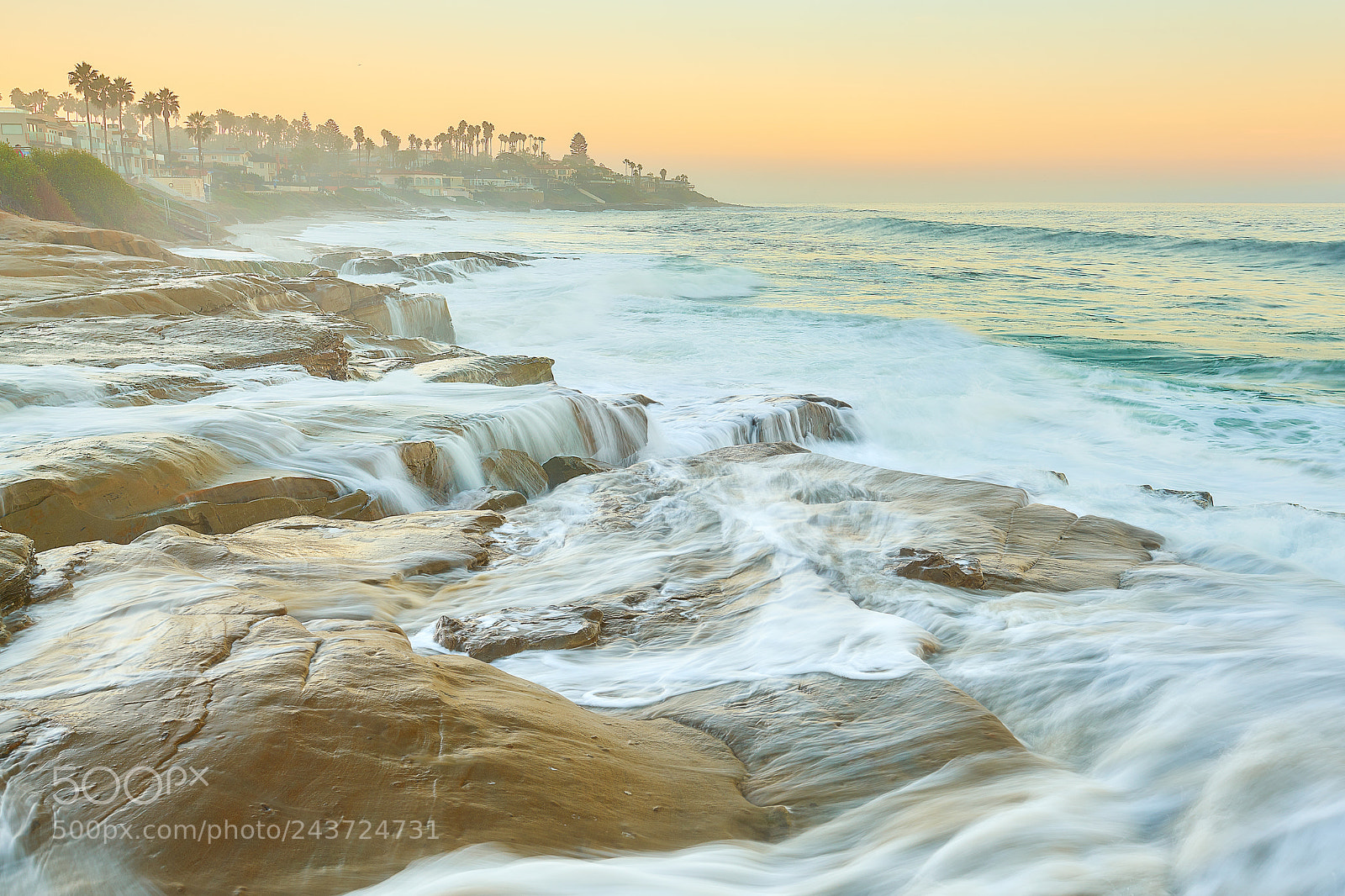 Sony a7R II sample photo. Yellow morning glow photography