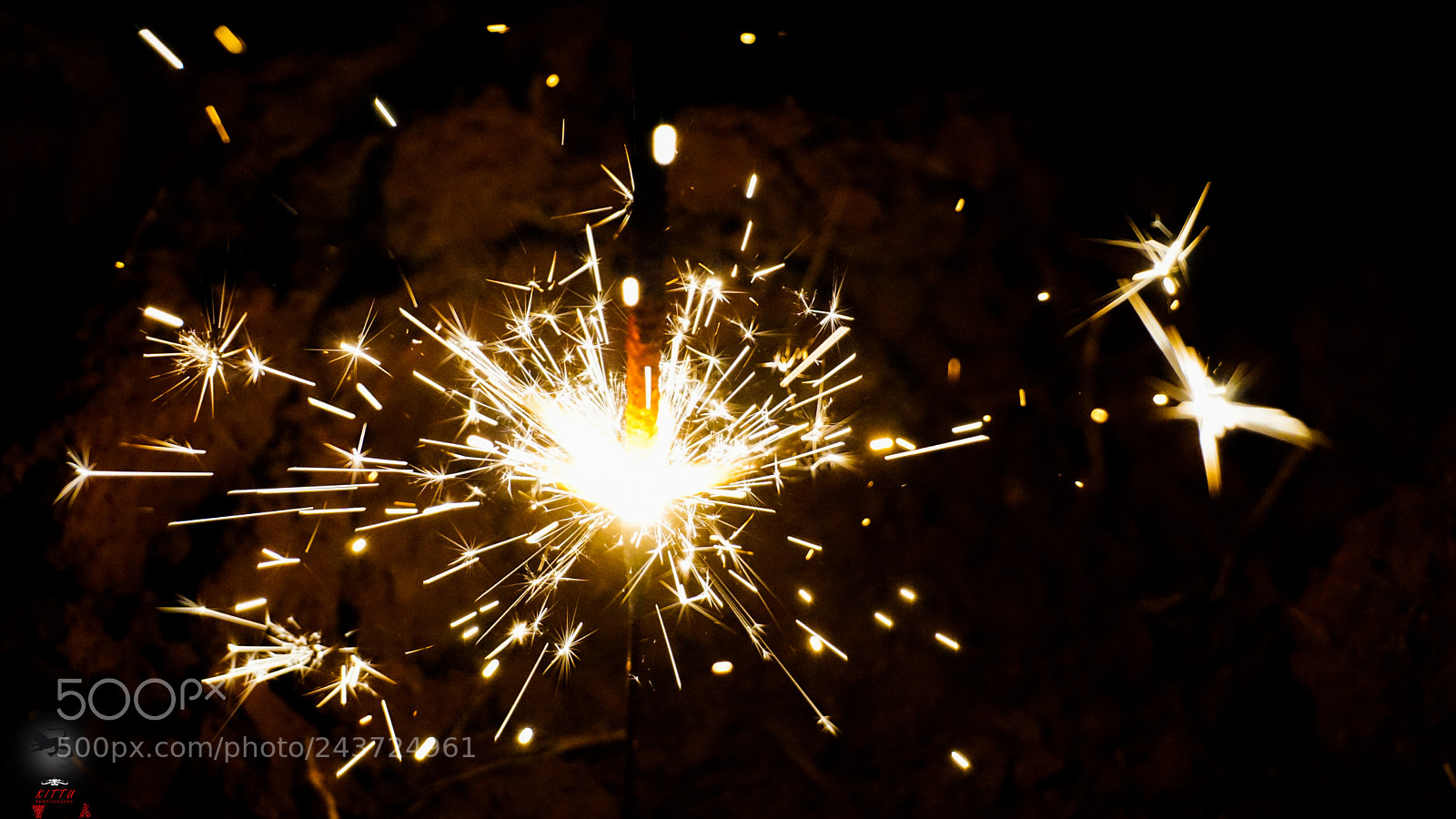 Sony a5100 sample photo. Untitled photography