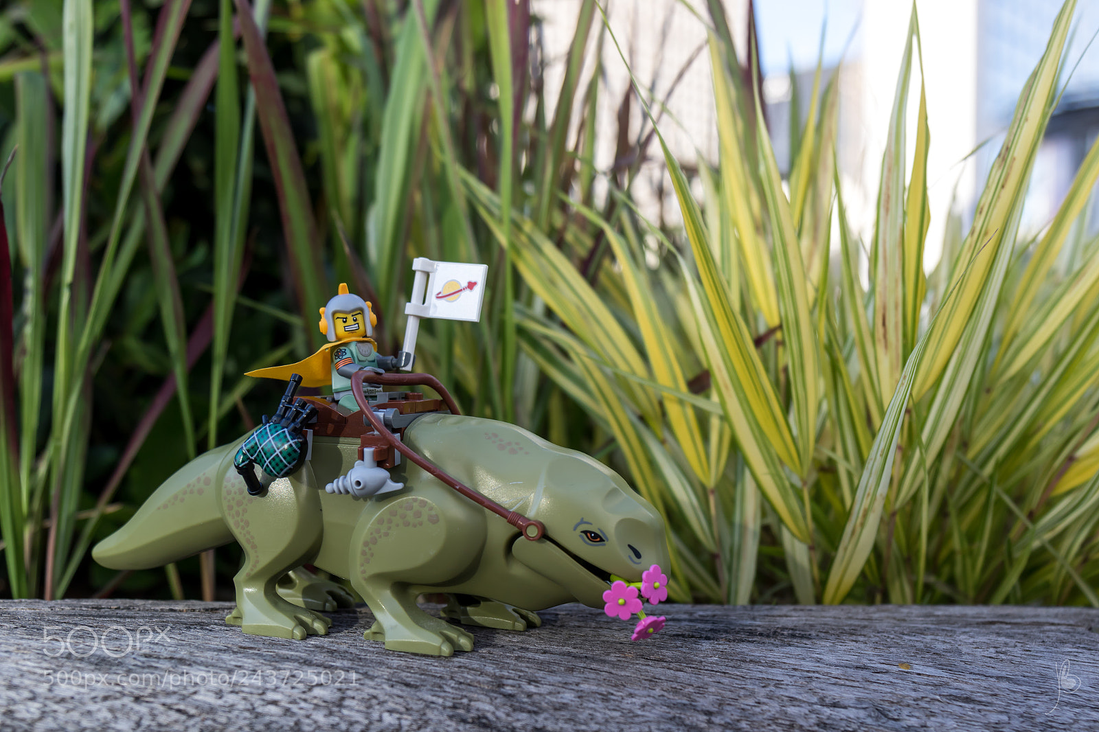 Canon EOS 7D Mark II sample photo. Space walk photography
