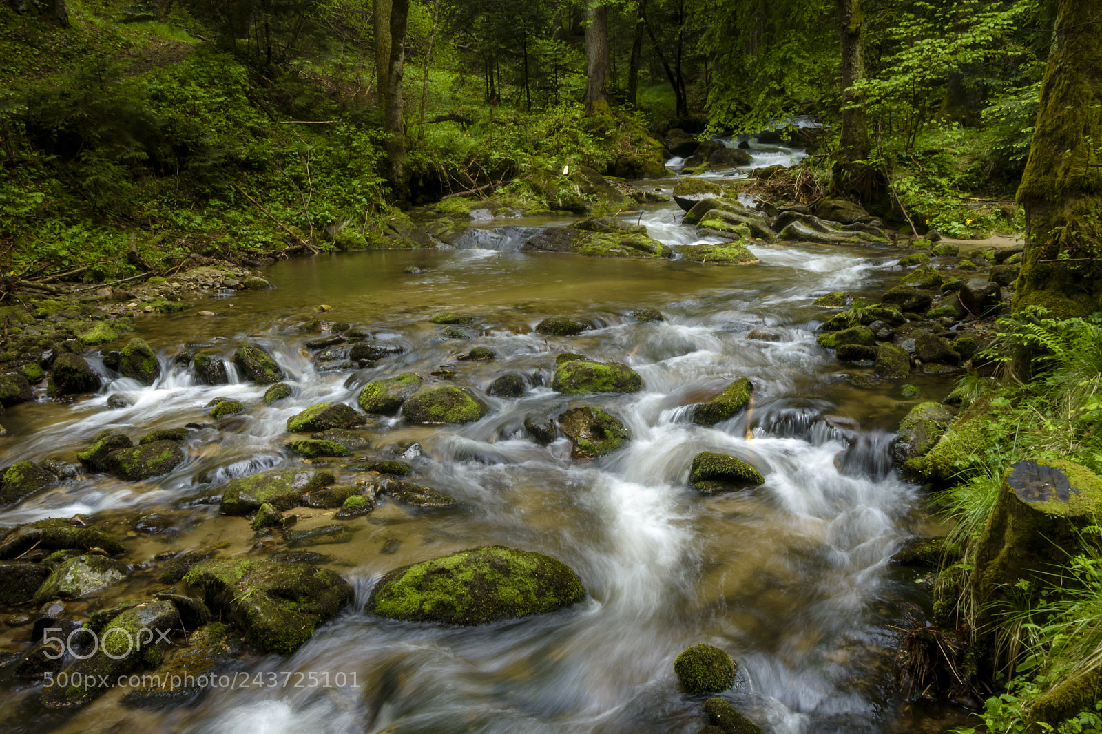 Nikon 1 J5 sample photo. Mountain stream, river flowing photography