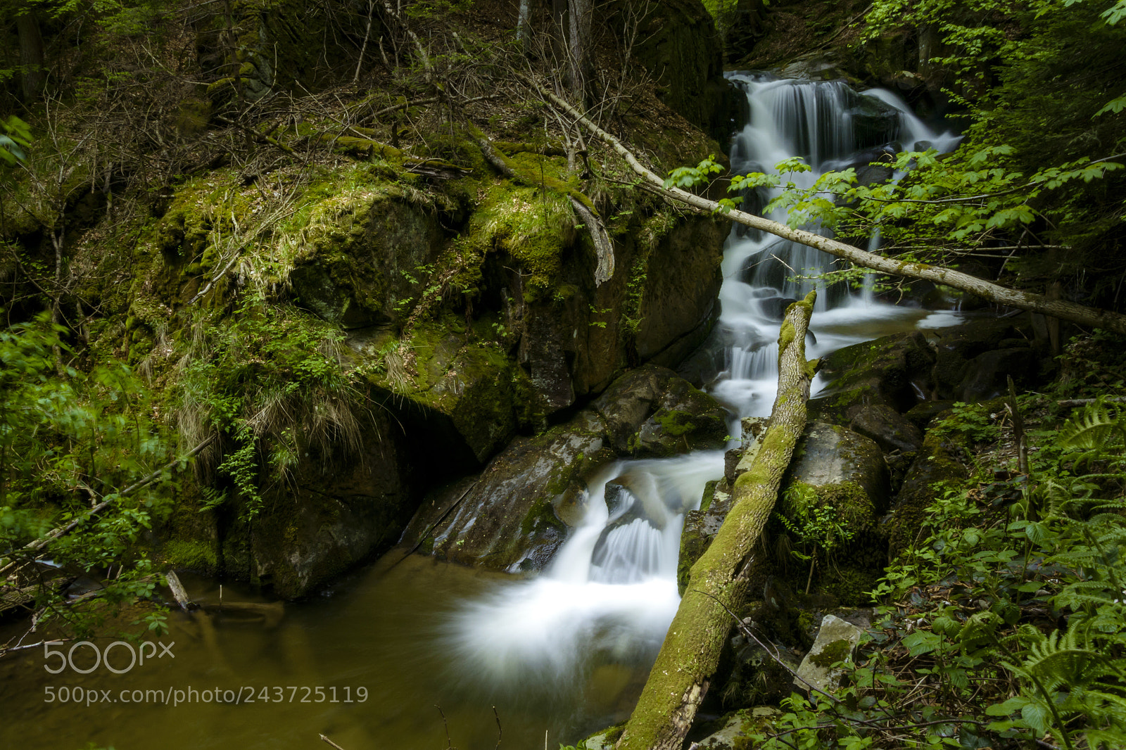 Nikon 1 J5 sample photo. Mountain stream, river flowing photography