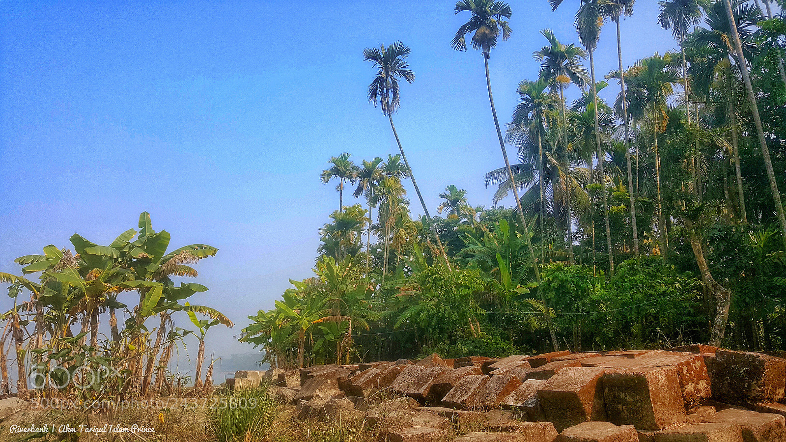 Samsung GALAXY S6 edge sample photo. Riverbank photography