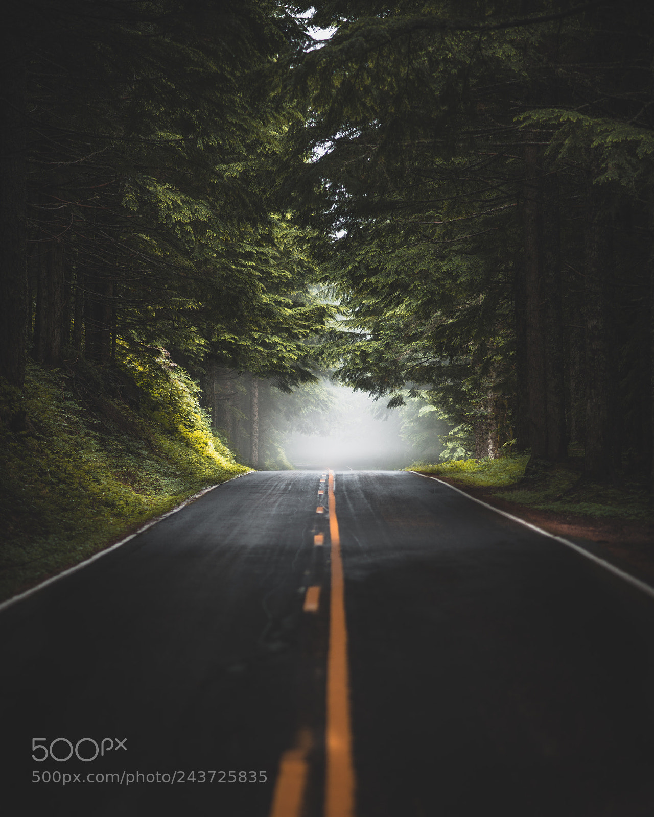 Nikon D800E sample photo. More roads, less people photography