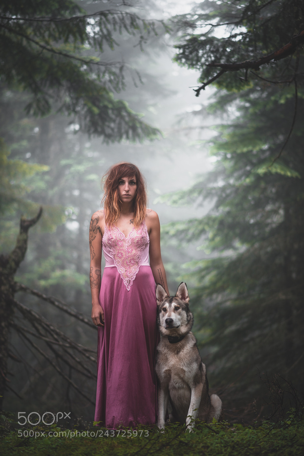 Nikon D800E sample photo. She runs with wolves photography