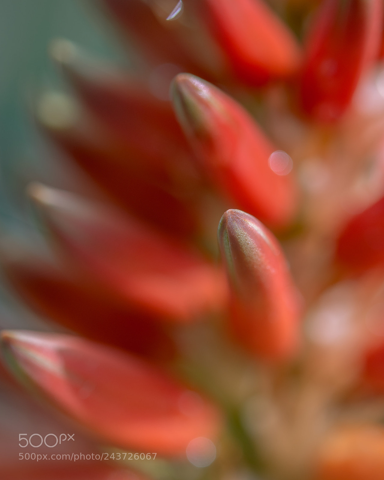 Nikon D7200 sample photo. Untitled photography