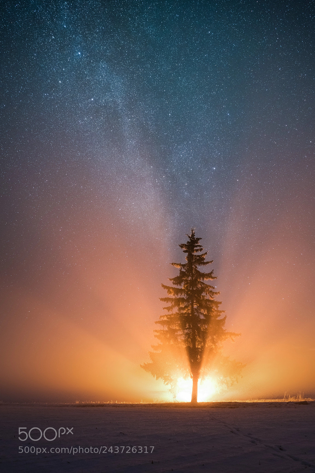 Sony a7R II sample photo. Fire rays photography